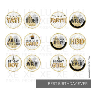 Best Birthday Ever Paddles